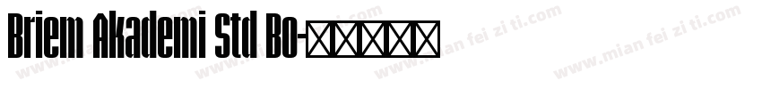 Briem Akademi Std Bo字体转换